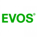 Evos